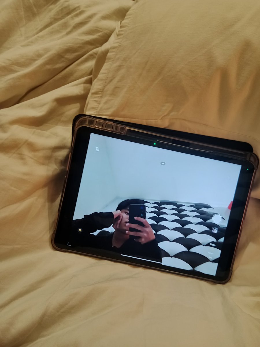 Tyirex 🦖 tweet media