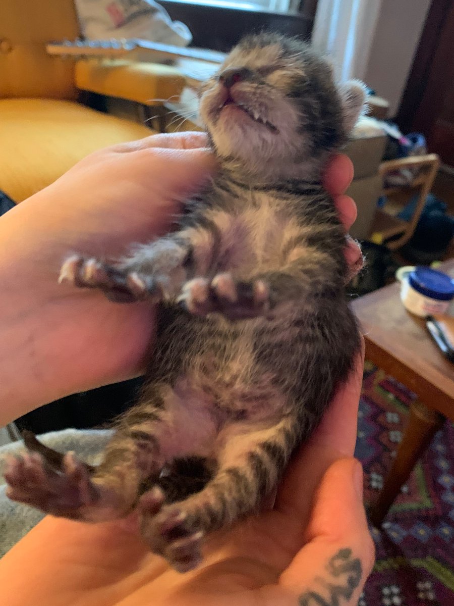 Babysitting this thing, when does the big "full of milk" arrow appear?