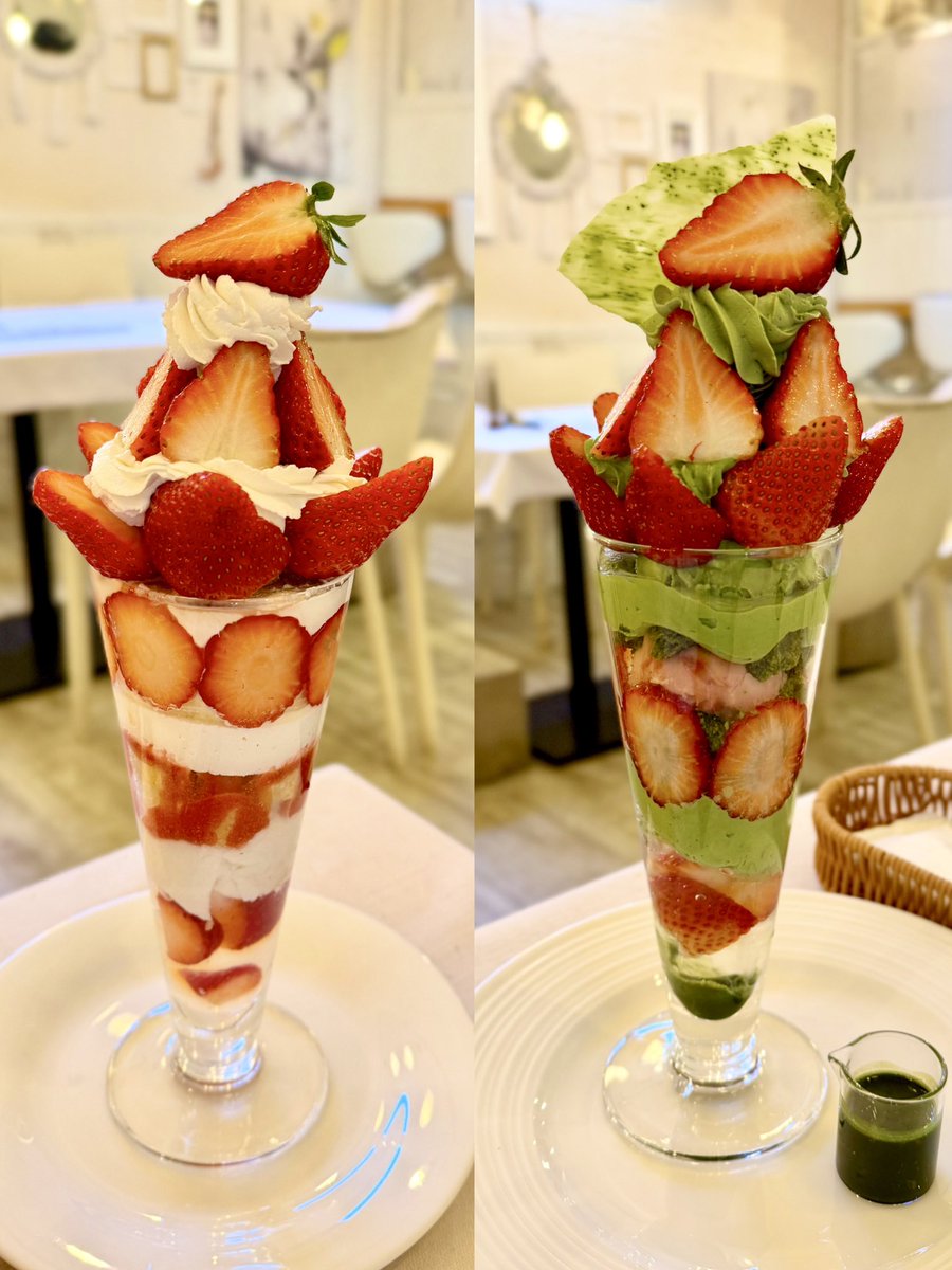 🍓🍓🍓🦊🐱🍓🍓🍓