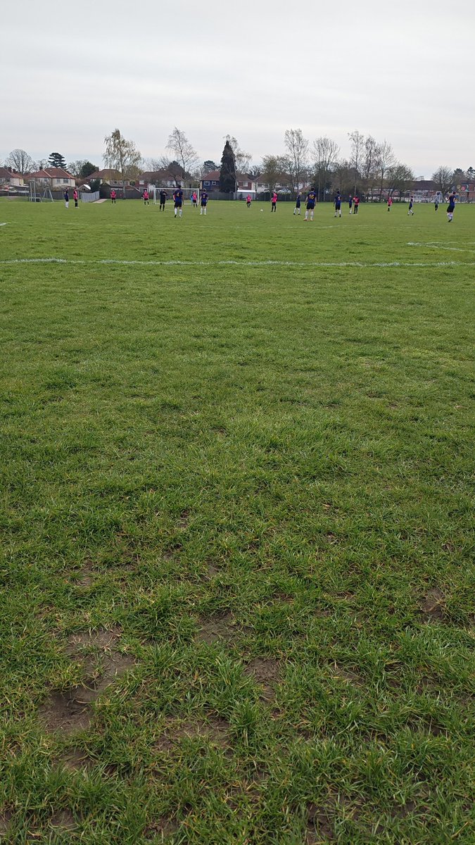 David Perfect tweet media