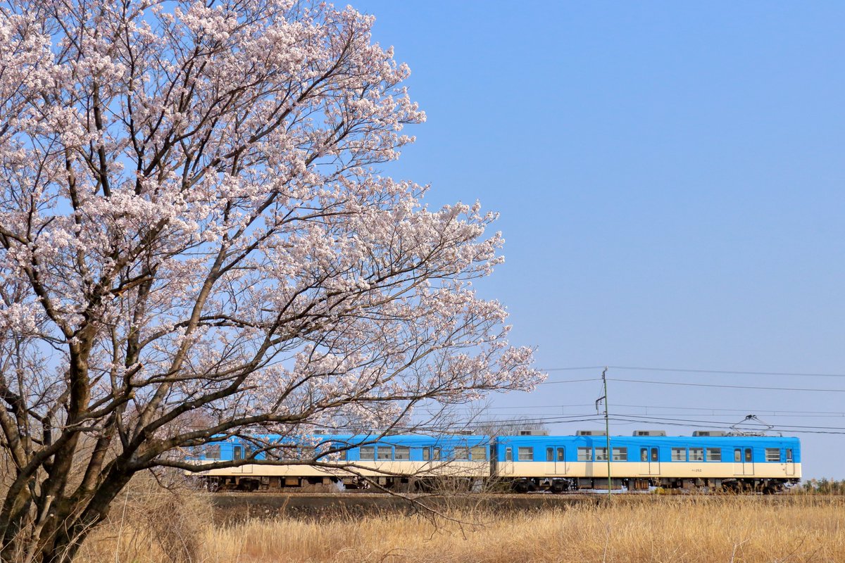 烏冬麺 tweet media