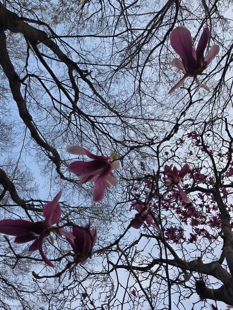 Ev4Years tweet media