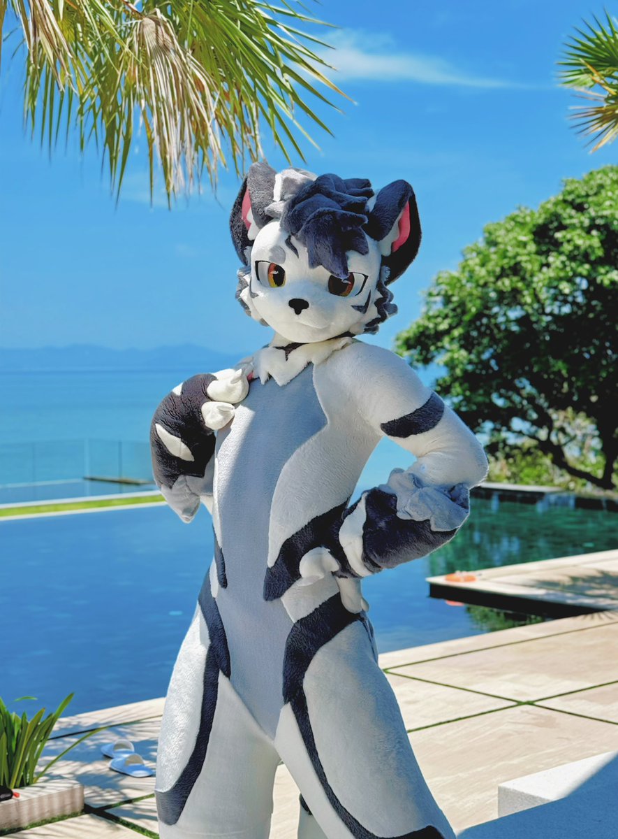 银碳Gintan➡️関西けもケット tweet media