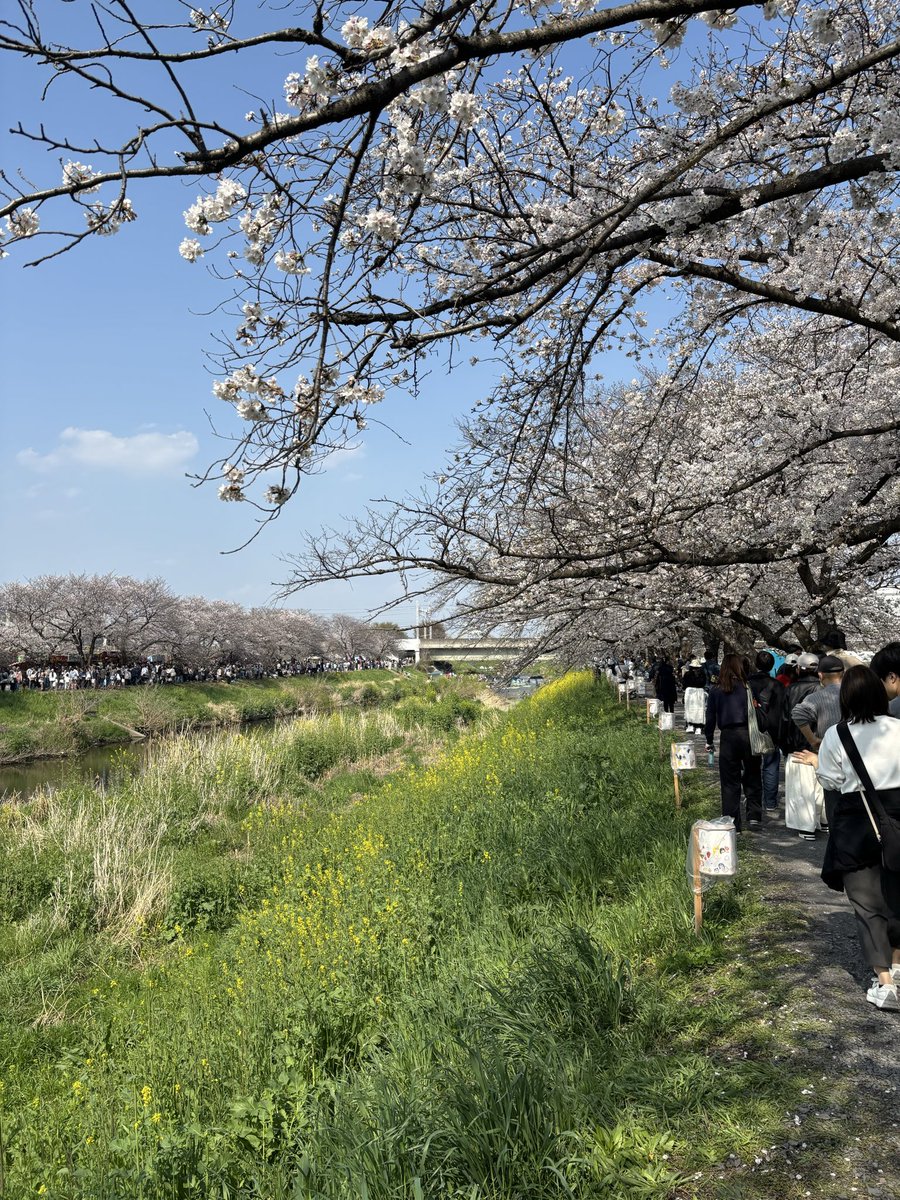 抹茶のおやつ tweet media