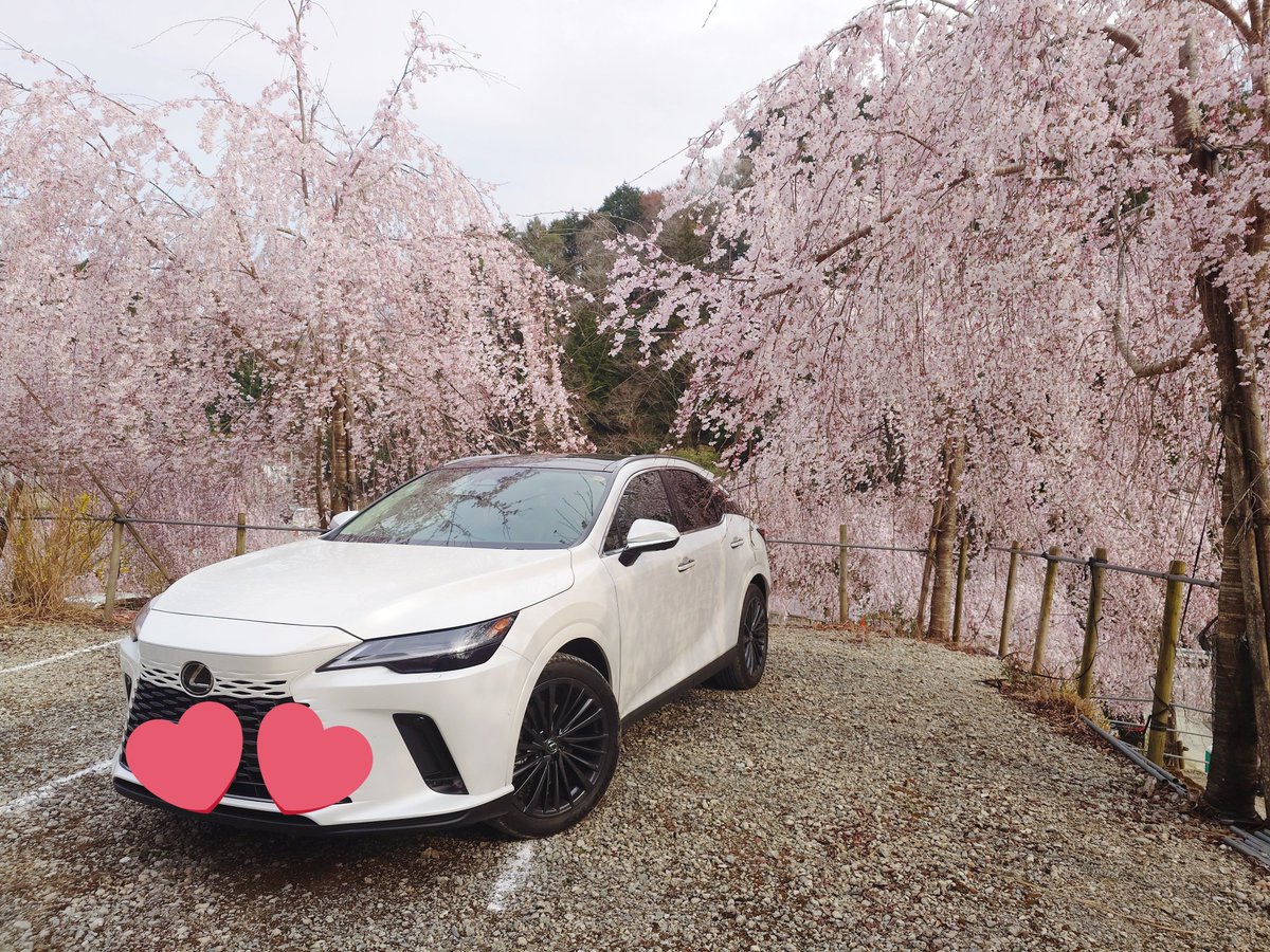 774.(式) tweet media