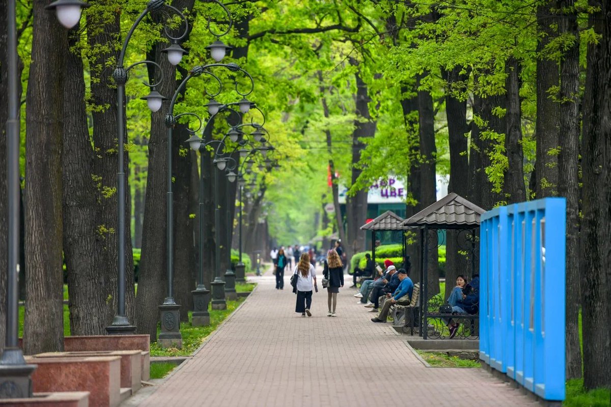 ИА 24.kg tweet media