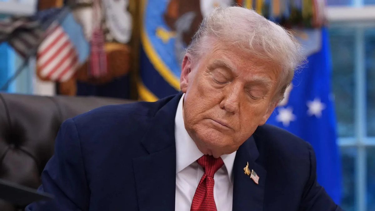 ᴢ ᴀ ɪ ʙ ɪ tweet media