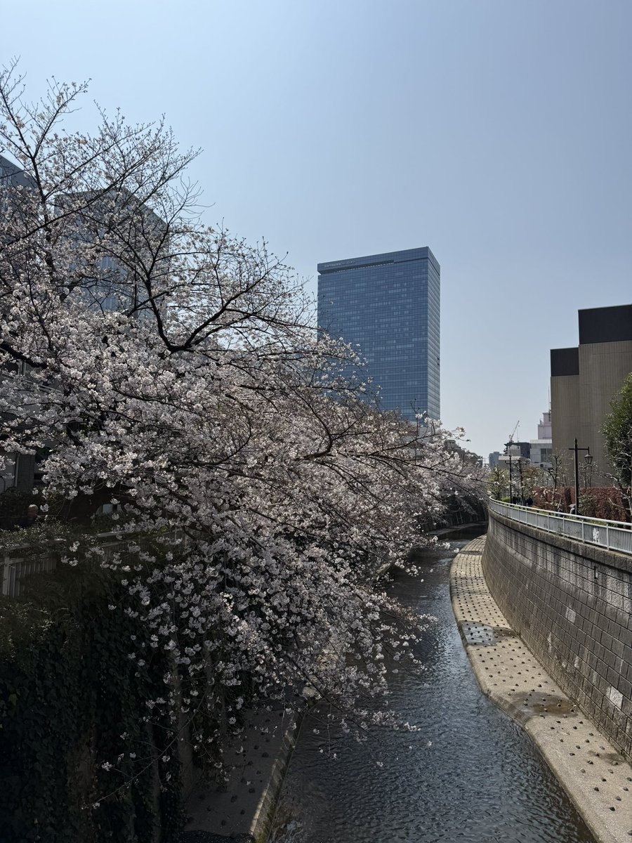 店長 t-Routeエリアトラウト専門店 tweet media