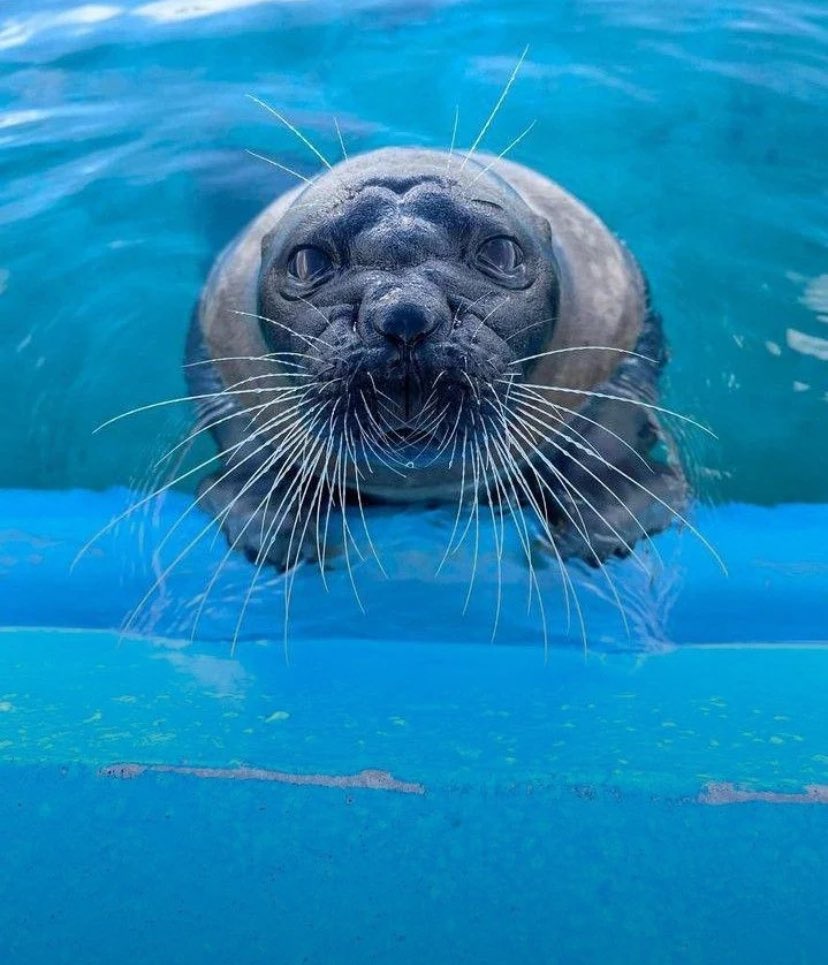 FailEarnhardtJr1-8 tweet media