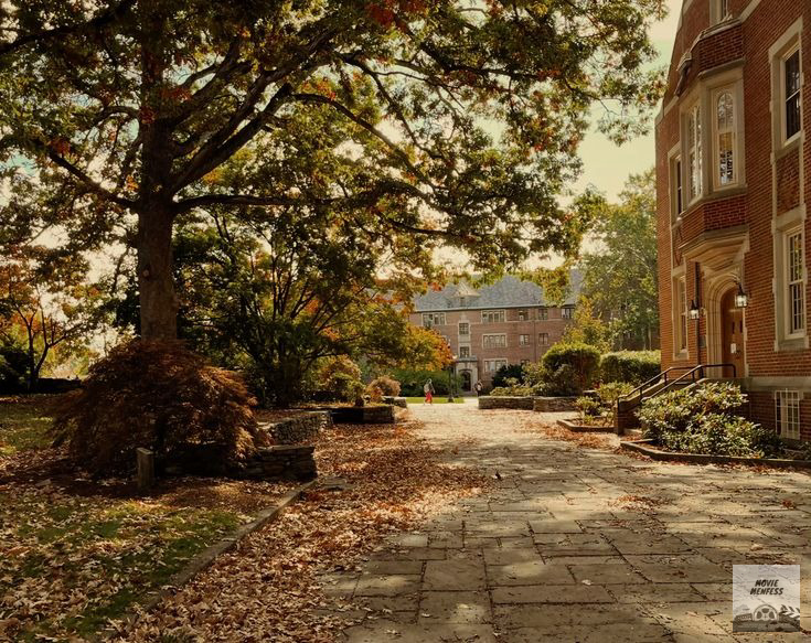 CHECK PINNED - mupi tweet media