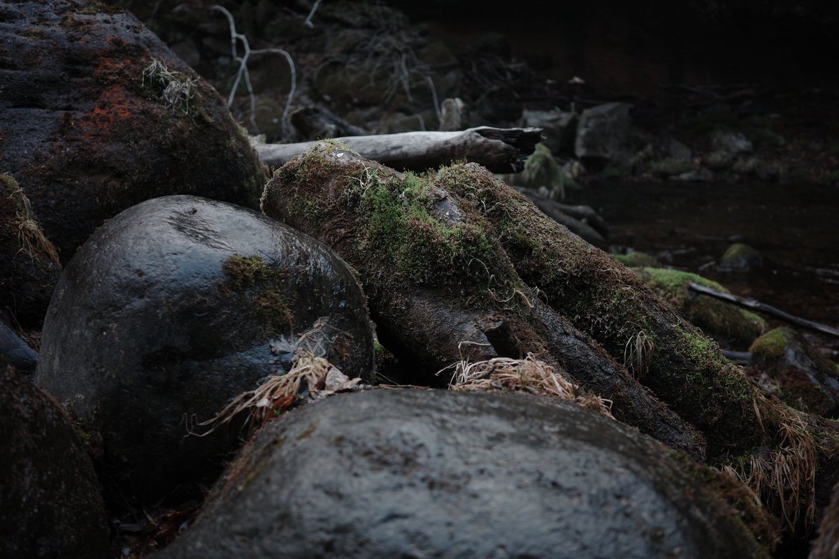 Motoki 動画編集&コーダー tweet media