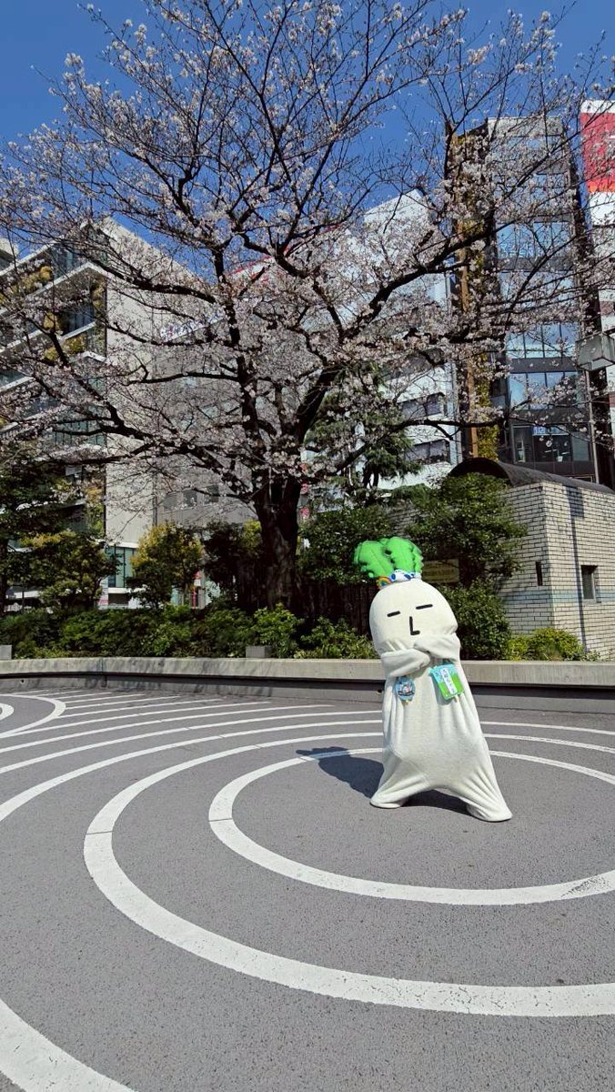 大根ちゃま tweet media