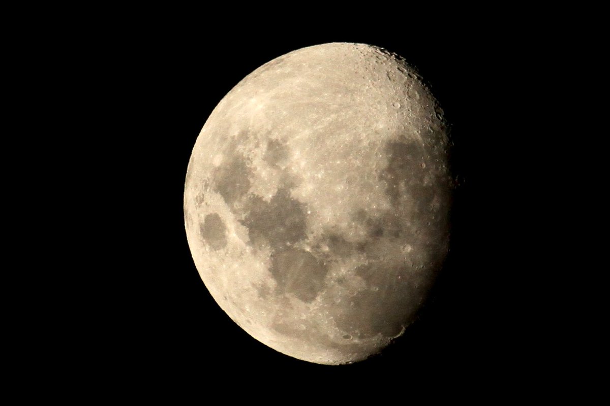 Nick Raschke tweet media