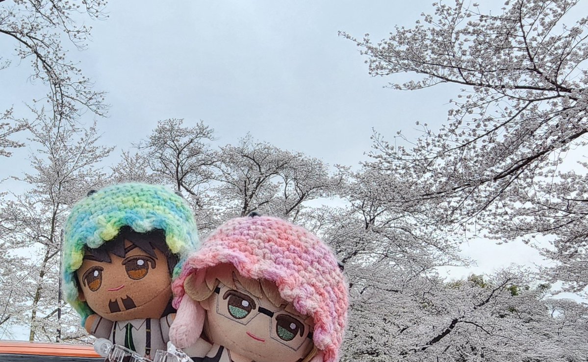 ももこ tweet media