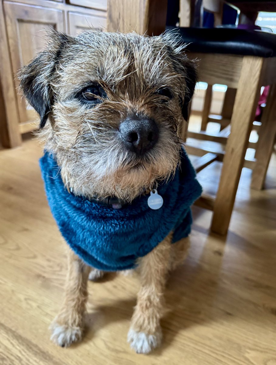 Lord Culter BT 🏴󠁧󠁢󠁳󠁣󠁴󠁿 Order of the IT tweet media