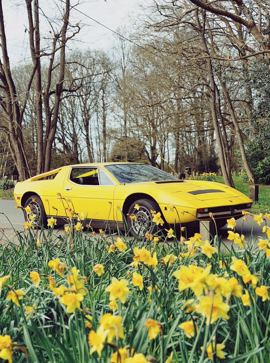 LUDEN Automotive tweet media