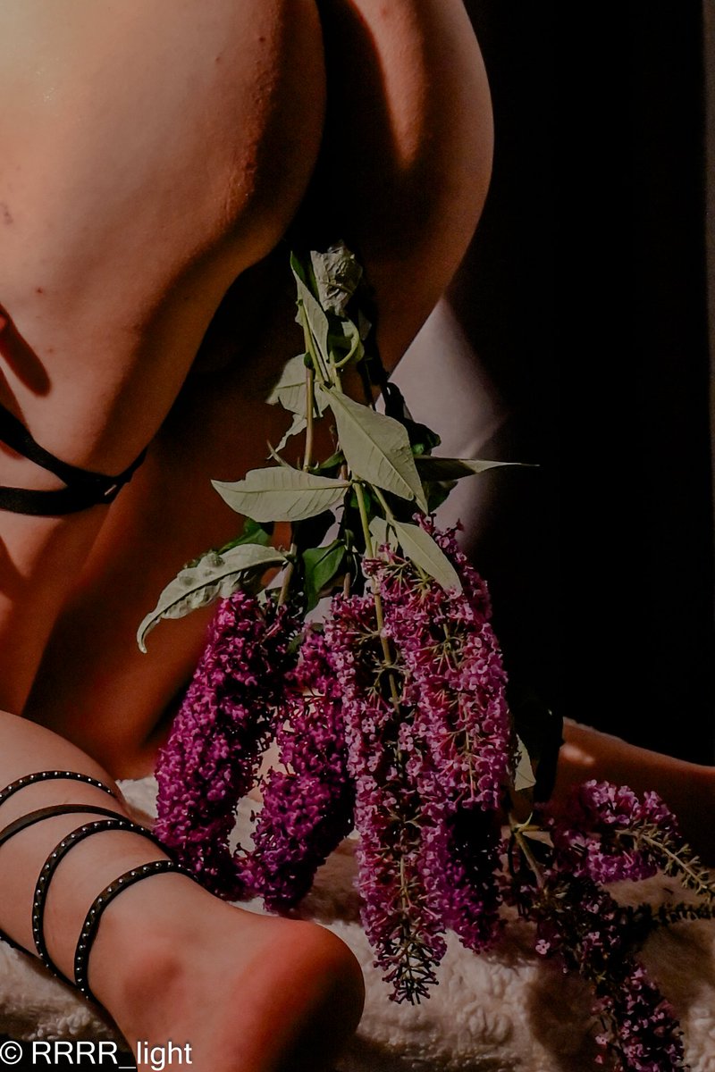 兰泽2.0 tweet media