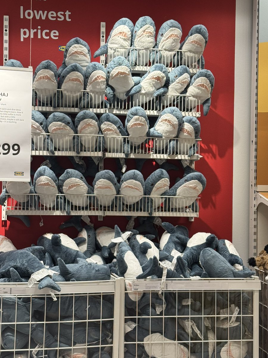 cath ✮⋆˙ tweet media