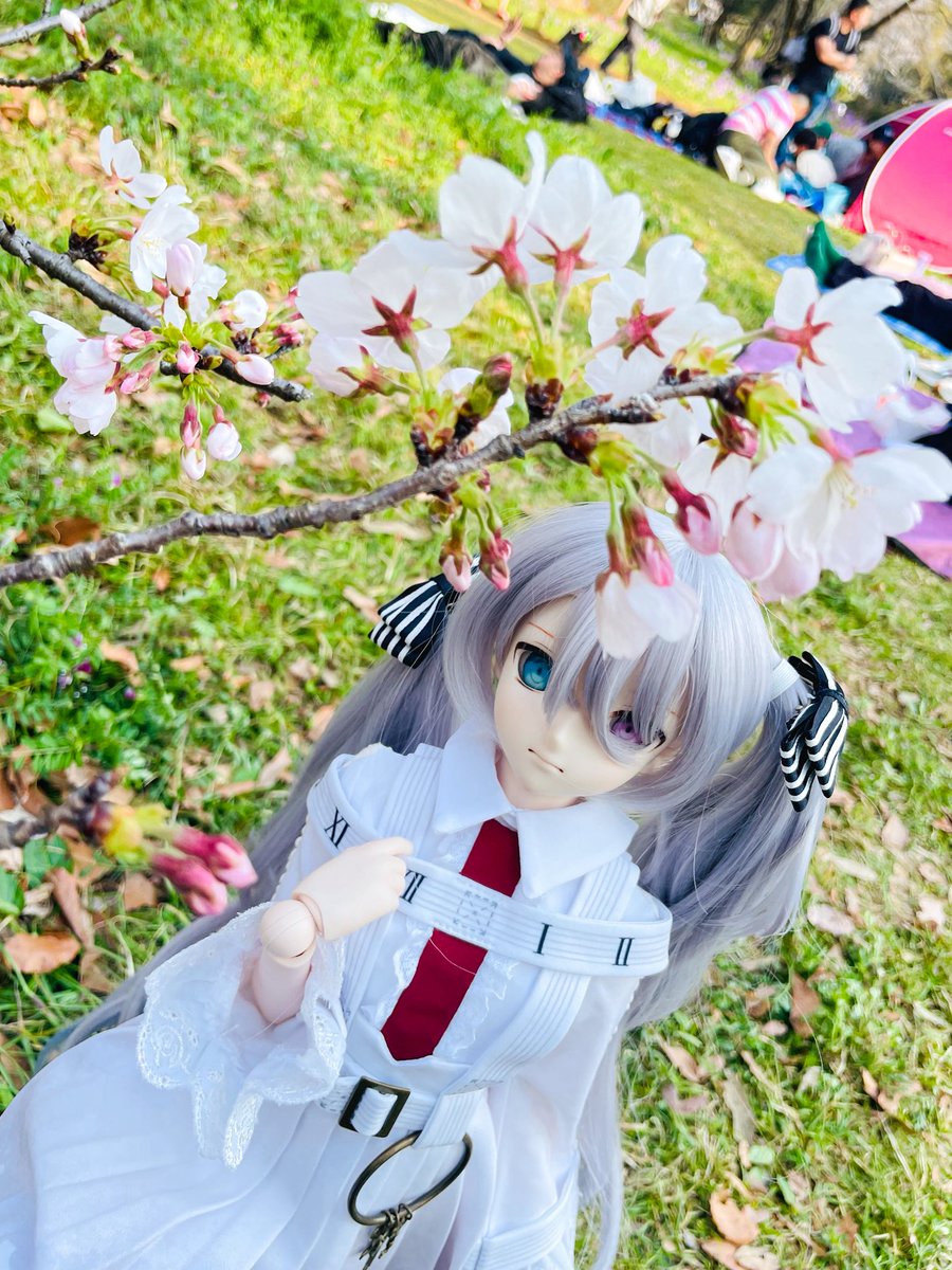 Lat、ペリカン一世 tweet media