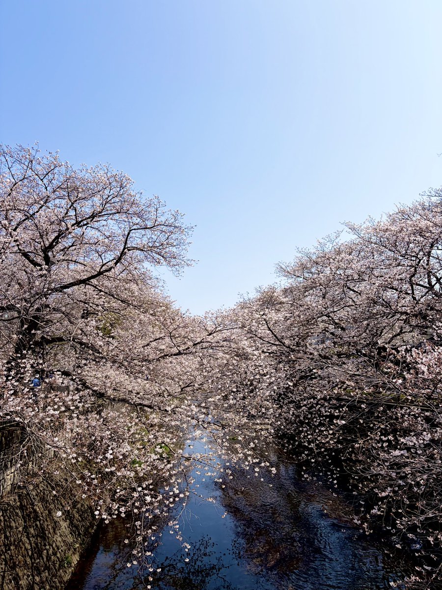 からちゅーの町田放浪記 tweet media