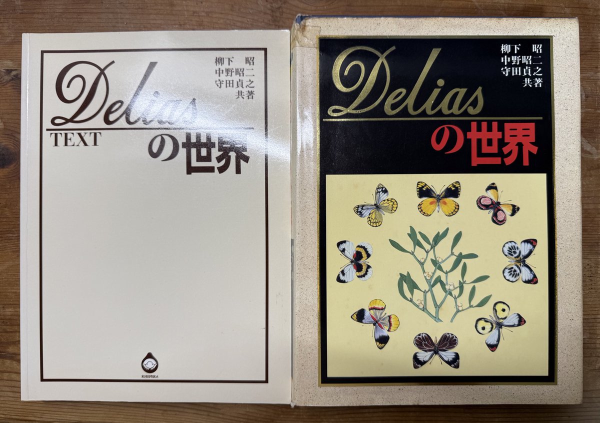 ありゅー@むしとりチャンネル tweet media