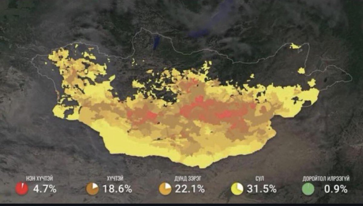 Enkhjinee tweet media