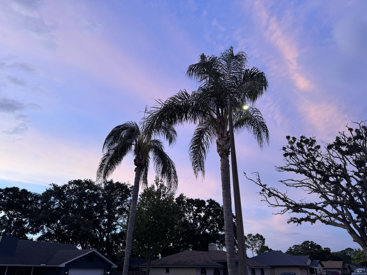 TimDPate's tweet photo. On this Palm Sunday, have you ever thought about the fact that God was the original Master Gardener. https://t.co/p3PwQMnR8G