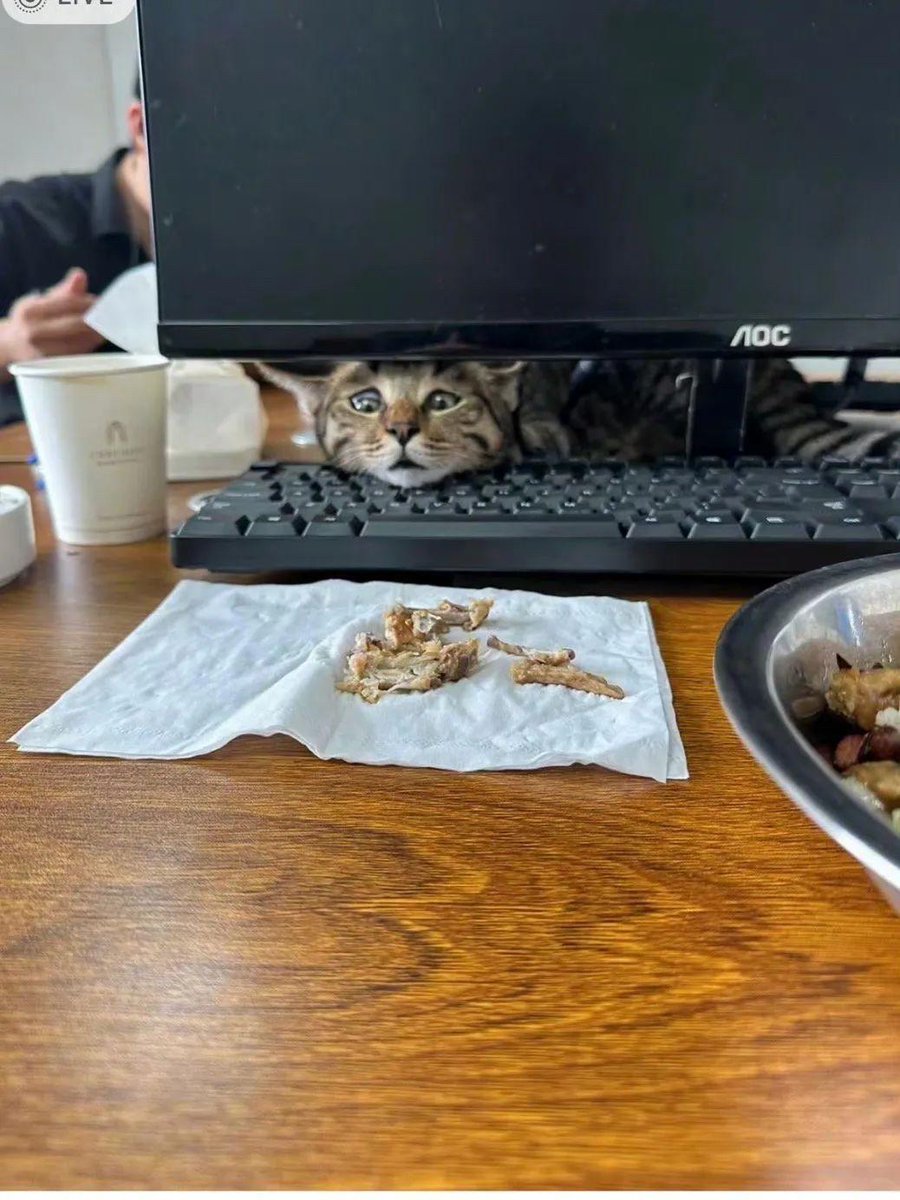 david aguilar tweet media