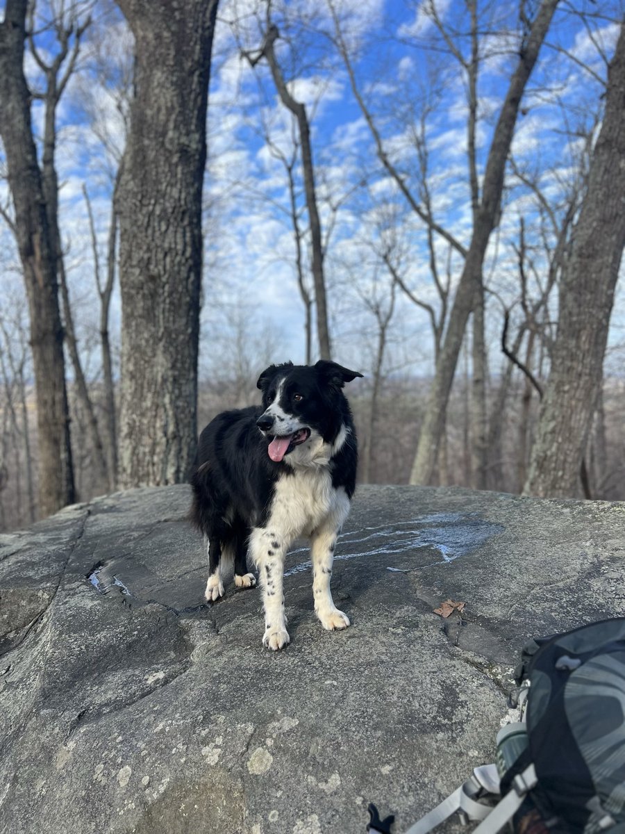 RHW37100 tweet media