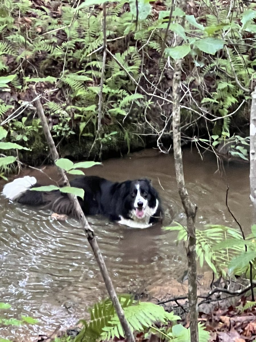 RHW37100 tweet media