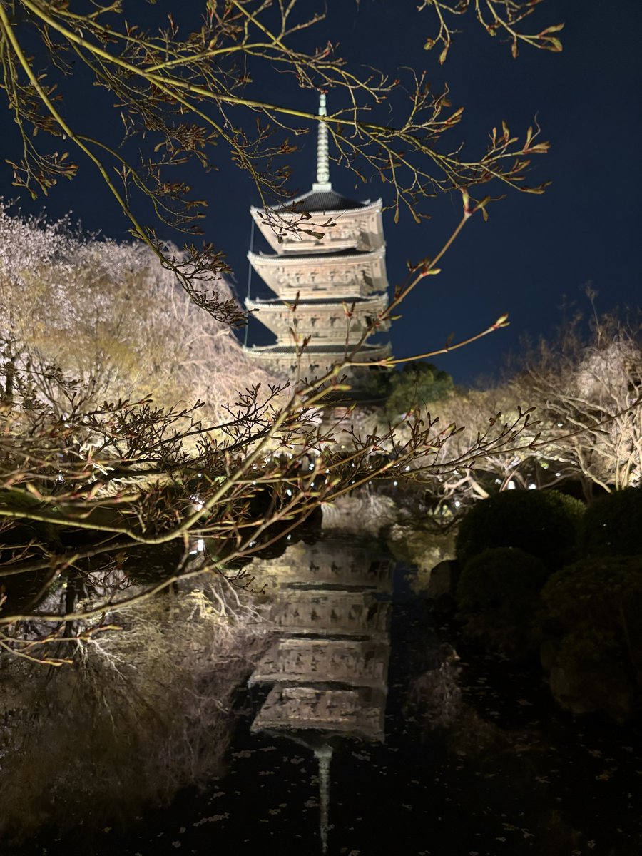 駒井俊雄 tweet media