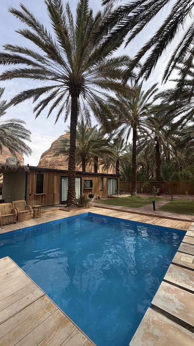 راكان tweet media