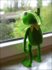 SilentlyLoud tweet media