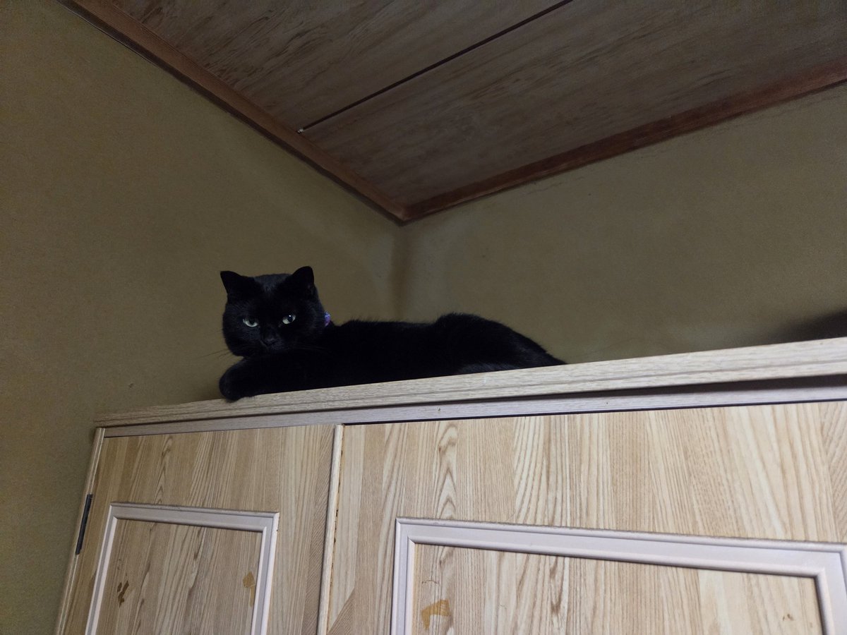 💜RAY💜 tweet media