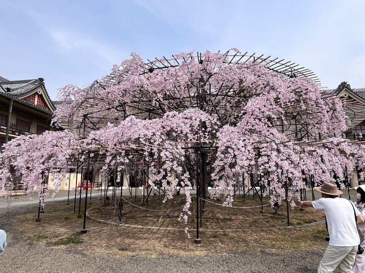 かよちゃん tweet media