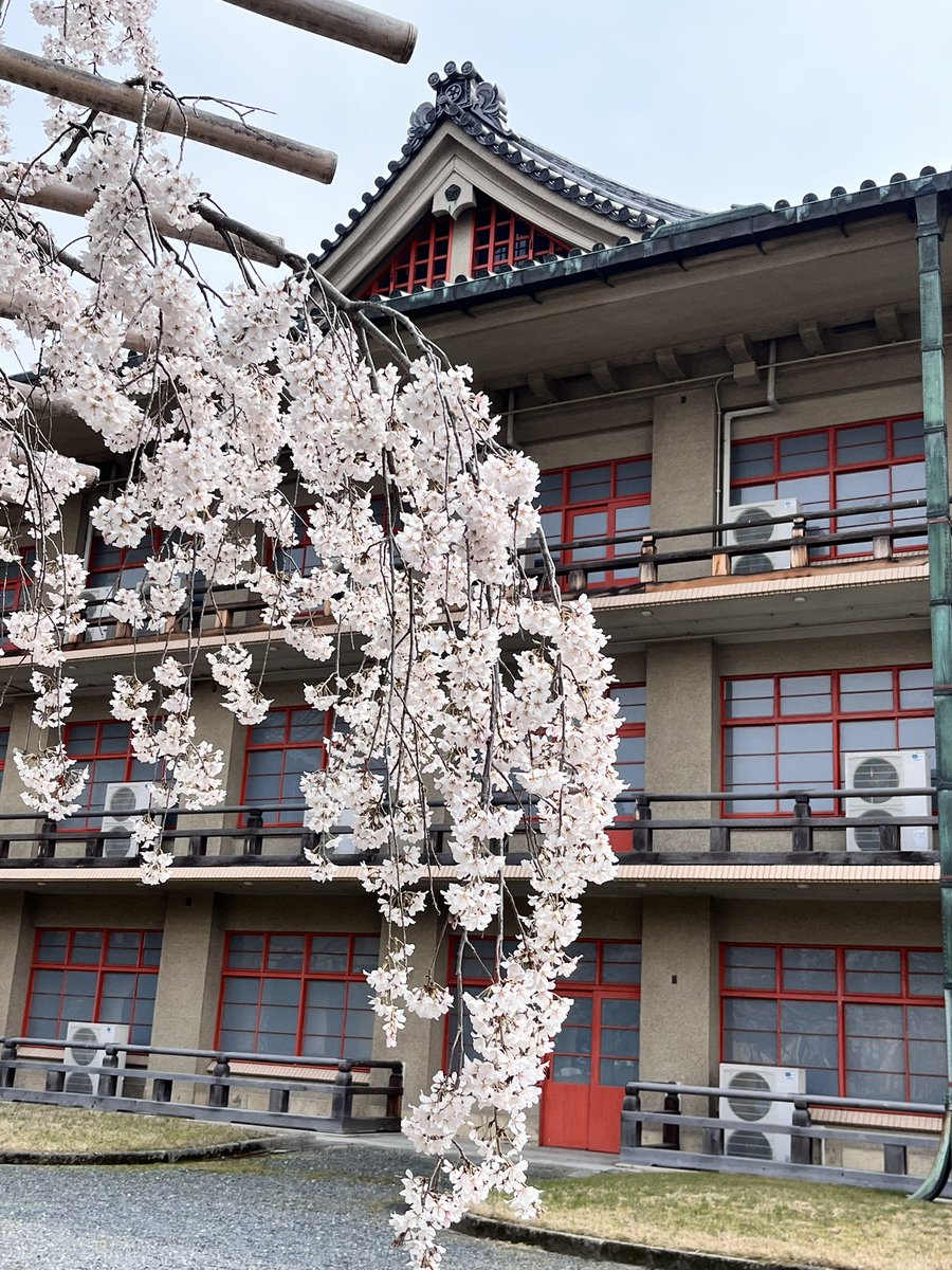 かよちゃん tweet media