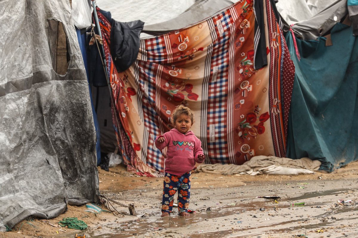 Mahmoud Qaddoha tweet media