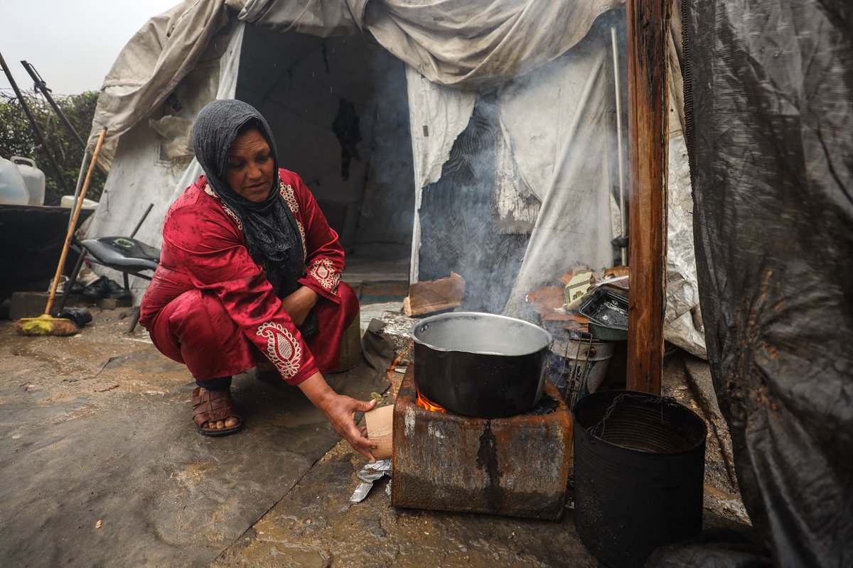 Mahmoud Qaddoha tweet media