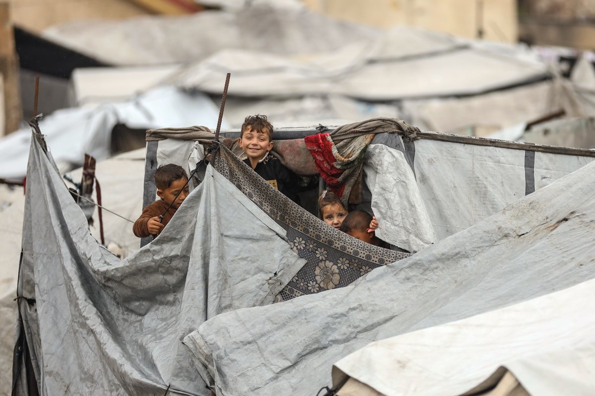 Mahmoud Qaddoha tweet media