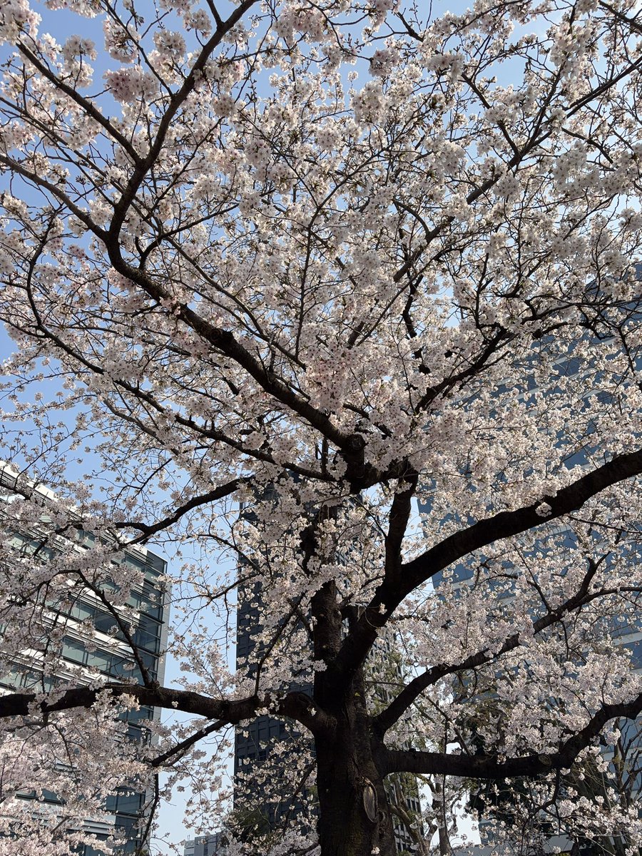 たいち tweet media