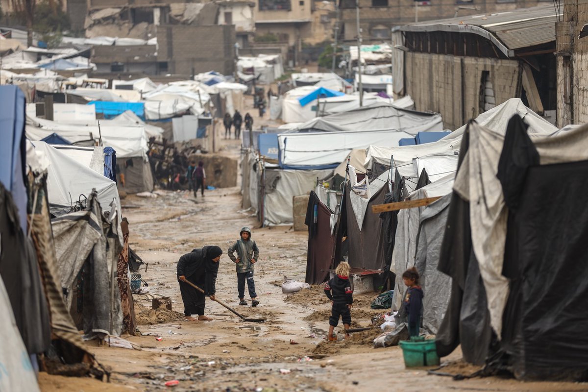 Mahmoud Qaddoha tweet media