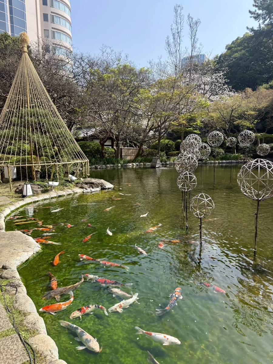 食い子ちゃん tweet media