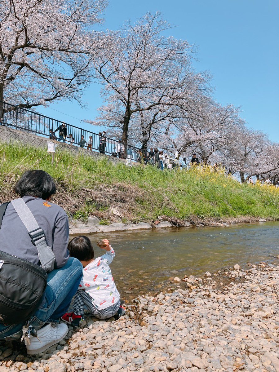 花見とちょっと川遊び