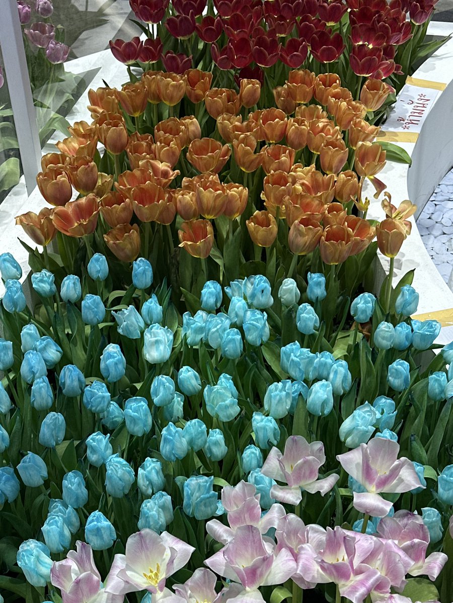 𝗝𝗲𝗷𝗲𝗲𝗠𝗧𝟵𝟯˚ ༘♡*.｡ tweet media