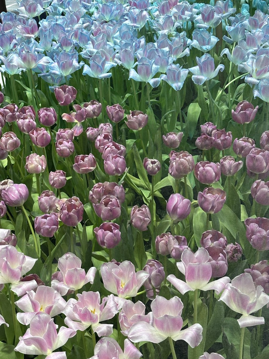 𝗝𝗲𝗷𝗲𝗲𝗠𝗧𝟵𝟯˚ ༘♡*.｡ tweet media