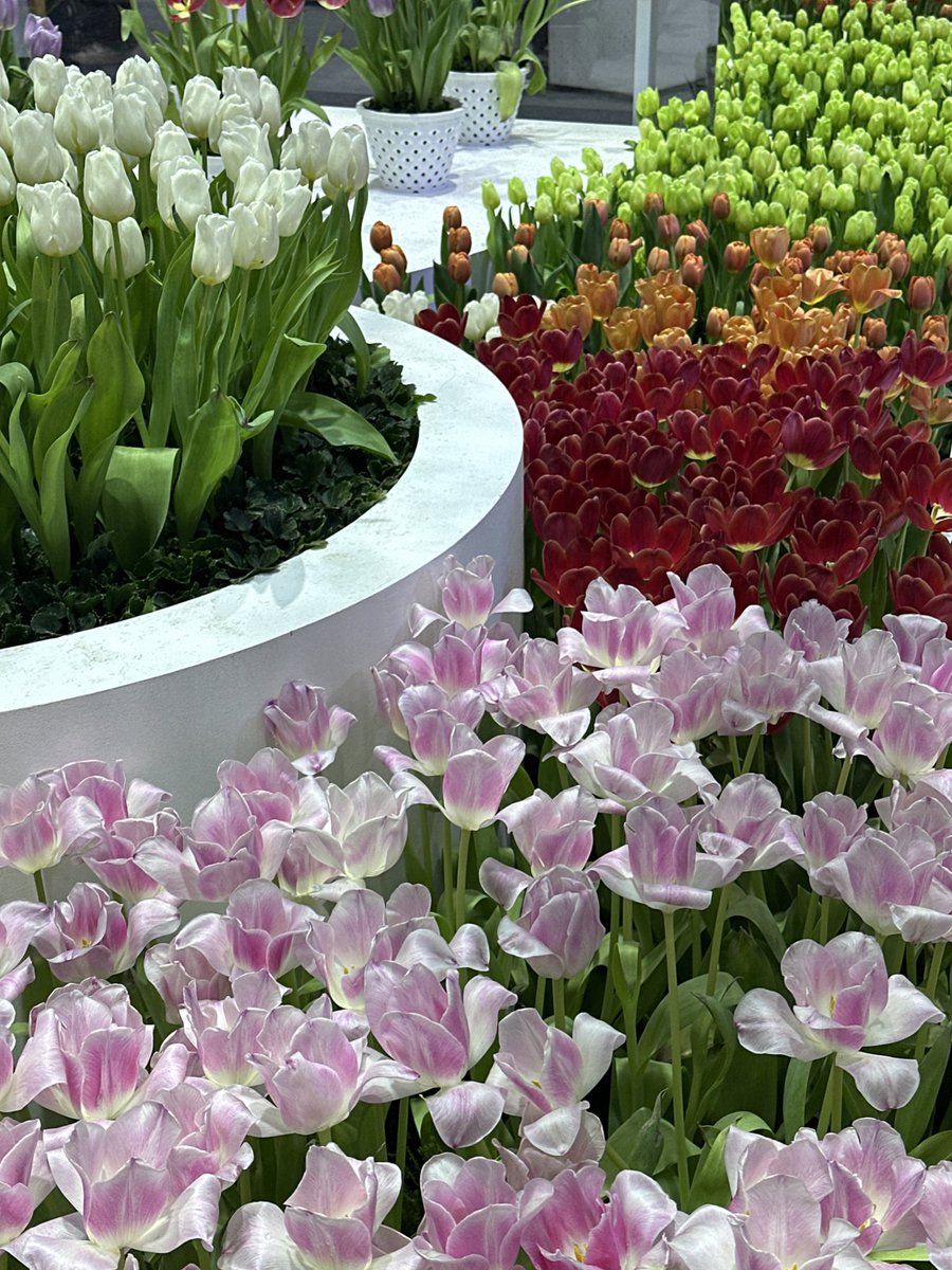 𝗝𝗲𝗷𝗲𝗲𝗠𝗧𝟵𝟯˚ ༘♡*.｡ tweet media