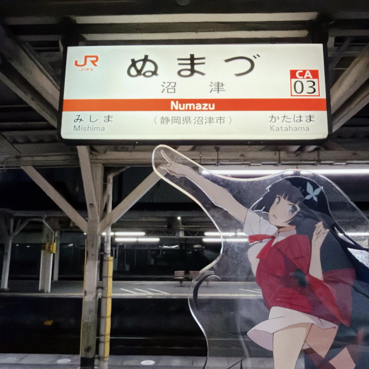 藤野こころ tweet media