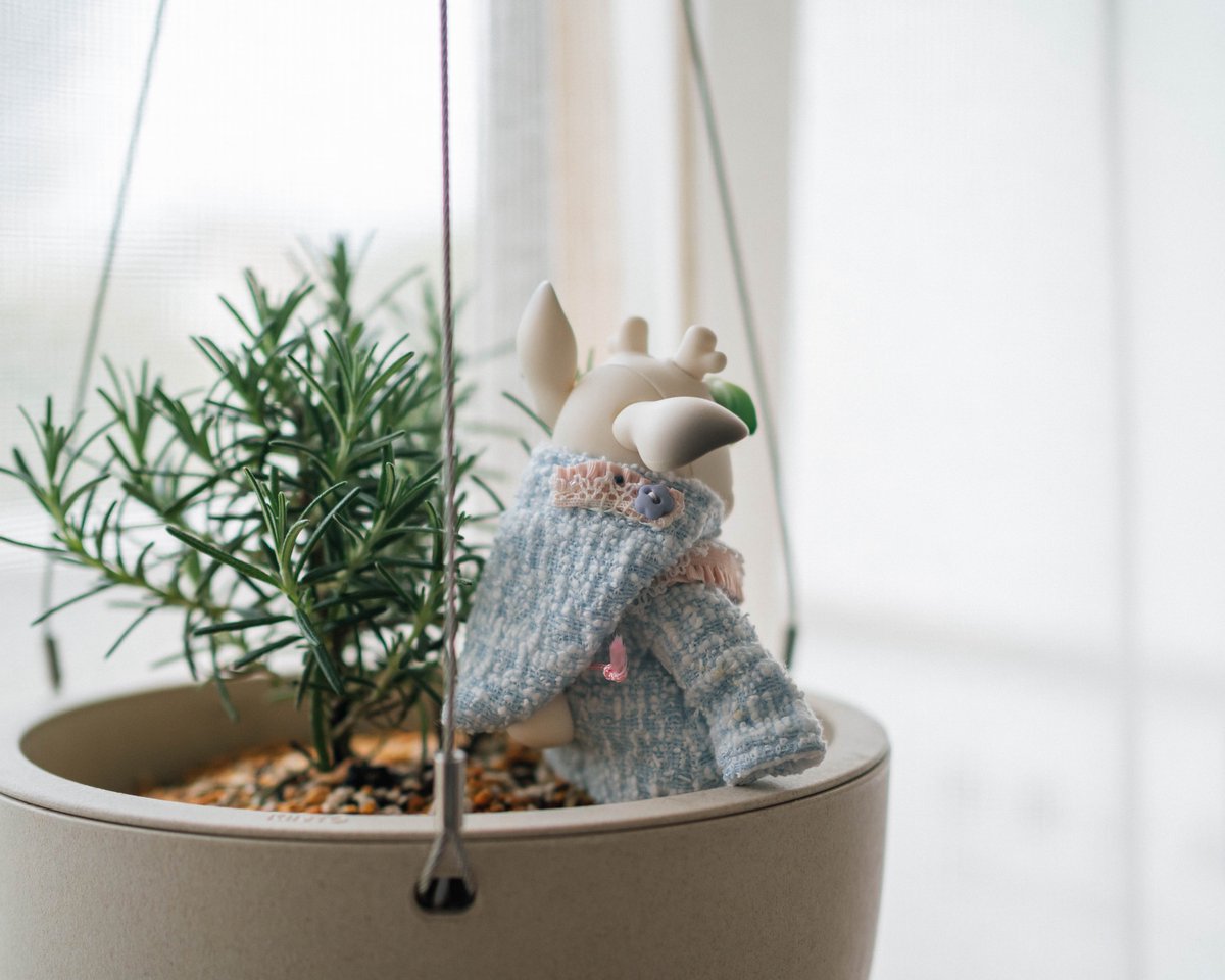 ねごと tweet media