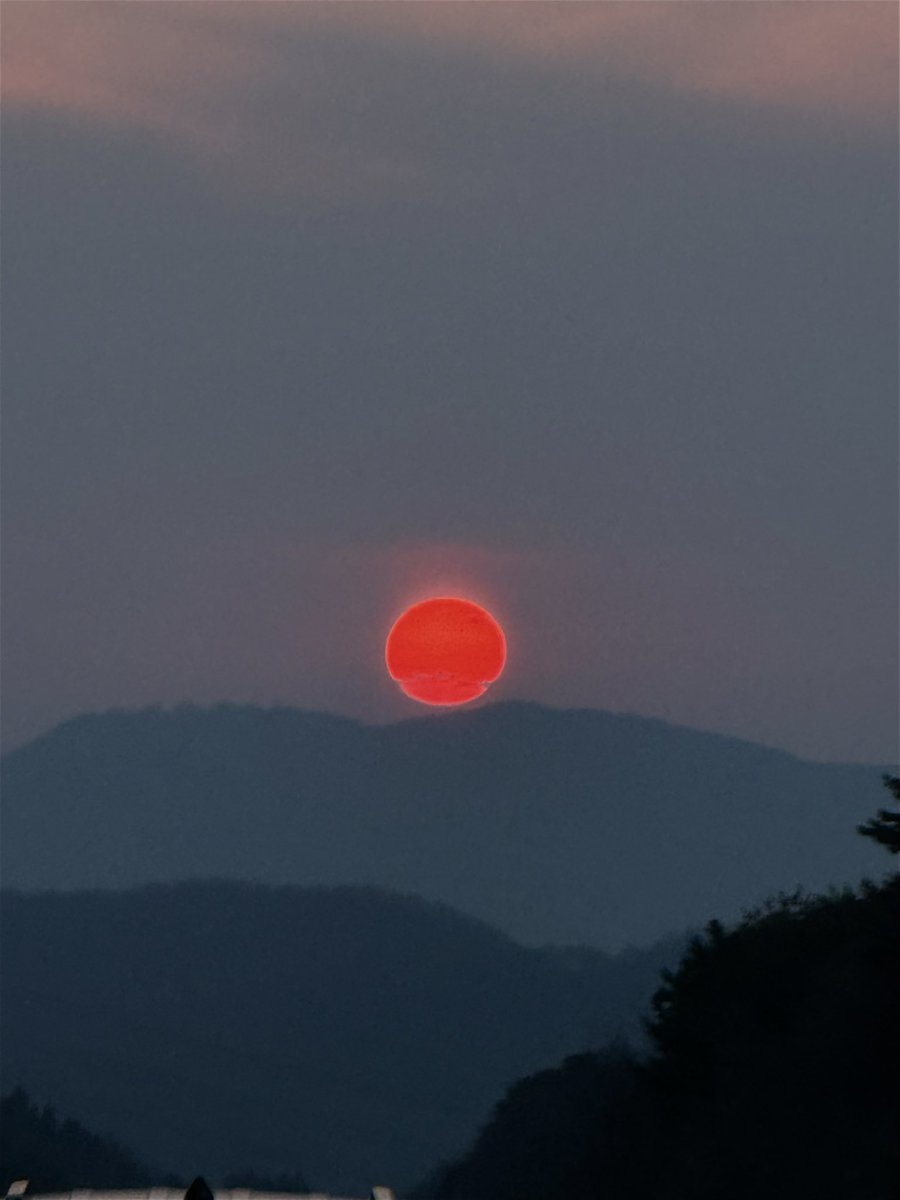 쵸 명 란 tweet media