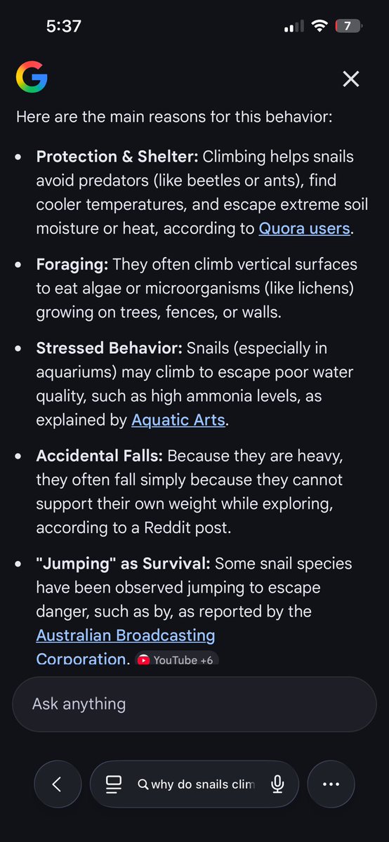 𝔪𝔞𝔪𝔞 𝔞𝔩𝔣𝔦𝔢𝔯𝔦 🦋 tweet media